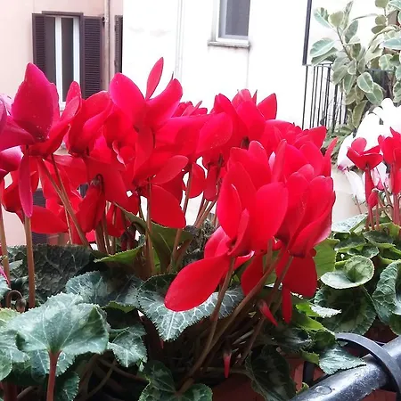 Apartment Lilium House Aventino